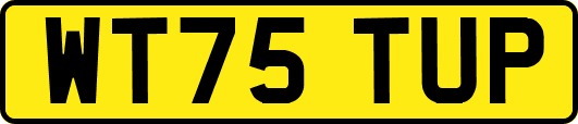 WT75TUP