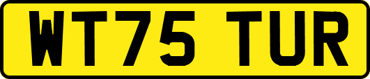 WT75TUR