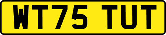 WT75TUT