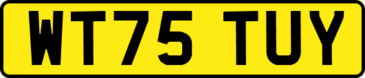 WT75TUY