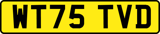 WT75TVD