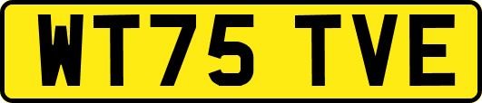 WT75TVE