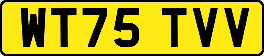 WT75TVV
