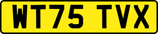 WT75TVX