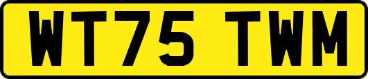 WT75TWM