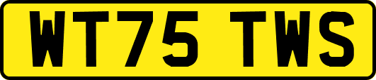 WT75TWS