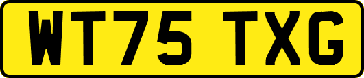 WT75TXG