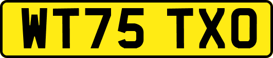 WT75TXO