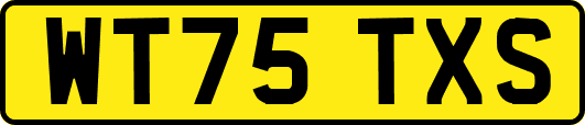WT75TXS