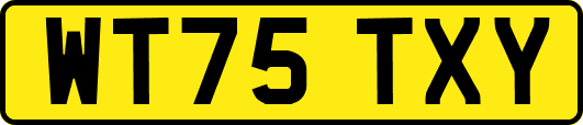 WT75TXY