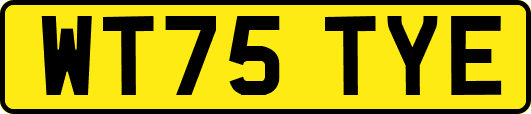 WT75TYE