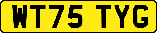 WT75TYG