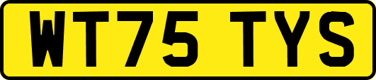 WT75TYS