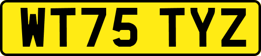 WT75TYZ