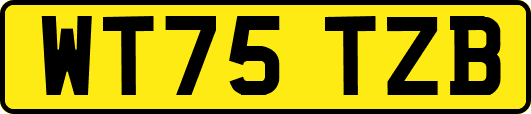WT75TZB