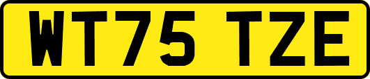 WT75TZE