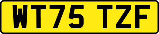 WT75TZF