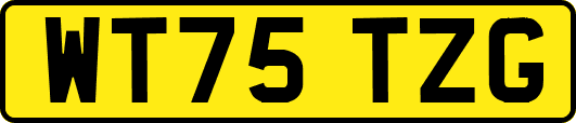 WT75TZG