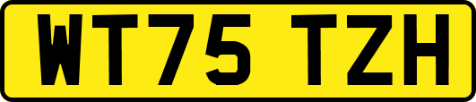 WT75TZH