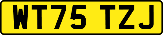 WT75TZJ