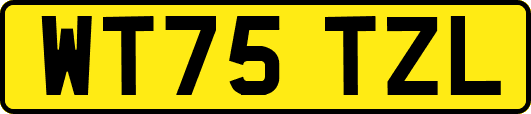 WT75TZL