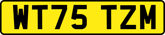 WT75TZM