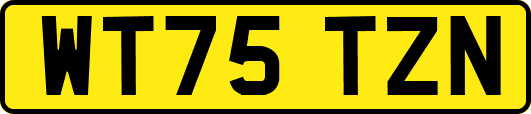 WT75TZN