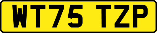 WT75TZP