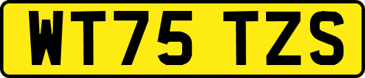 WT75TZS