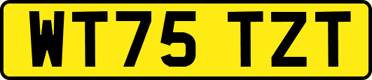 WT75TZT