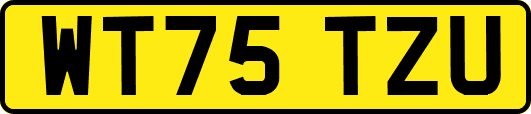 WT75TZU