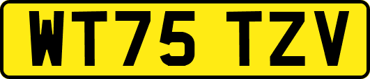 WT75TZV