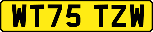 WT75TZW