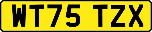 WT75TZX
