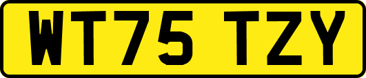 WT75TZY