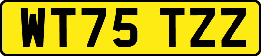 WT75TZZ