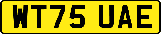 WT75UAE