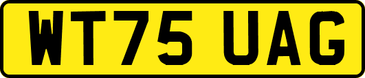 WT75UAG