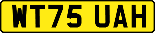 WT75UAH