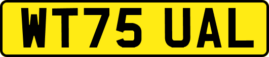 WT75UAL