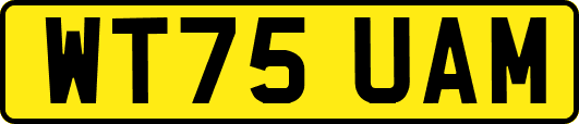 WT75UAM
