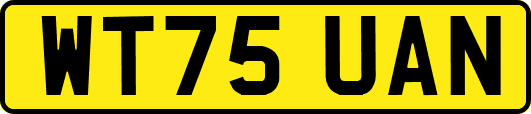 WT75UAN