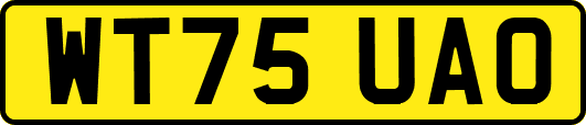 WT75UAO