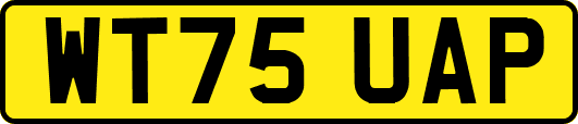 WT75UAP
