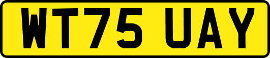 WT75UAY