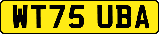 WT75UBA