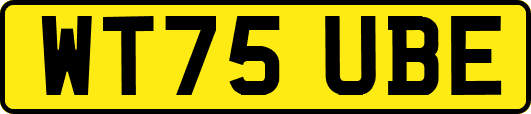 WT75UBE