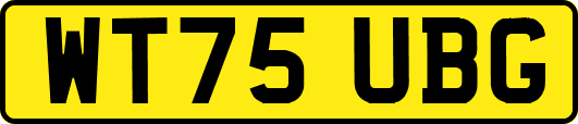 WT75UBG