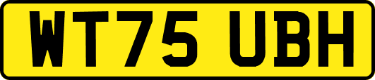WT75UBH