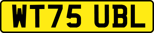 WT75UBL
